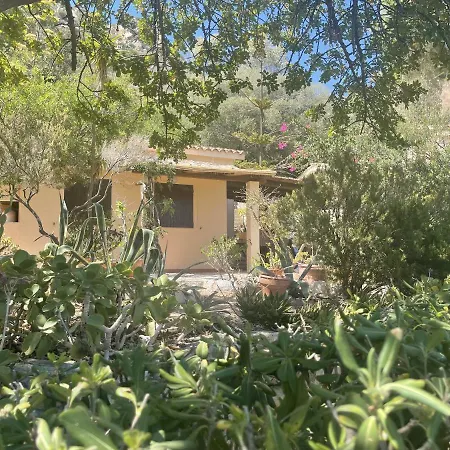 וילה Pellicano *